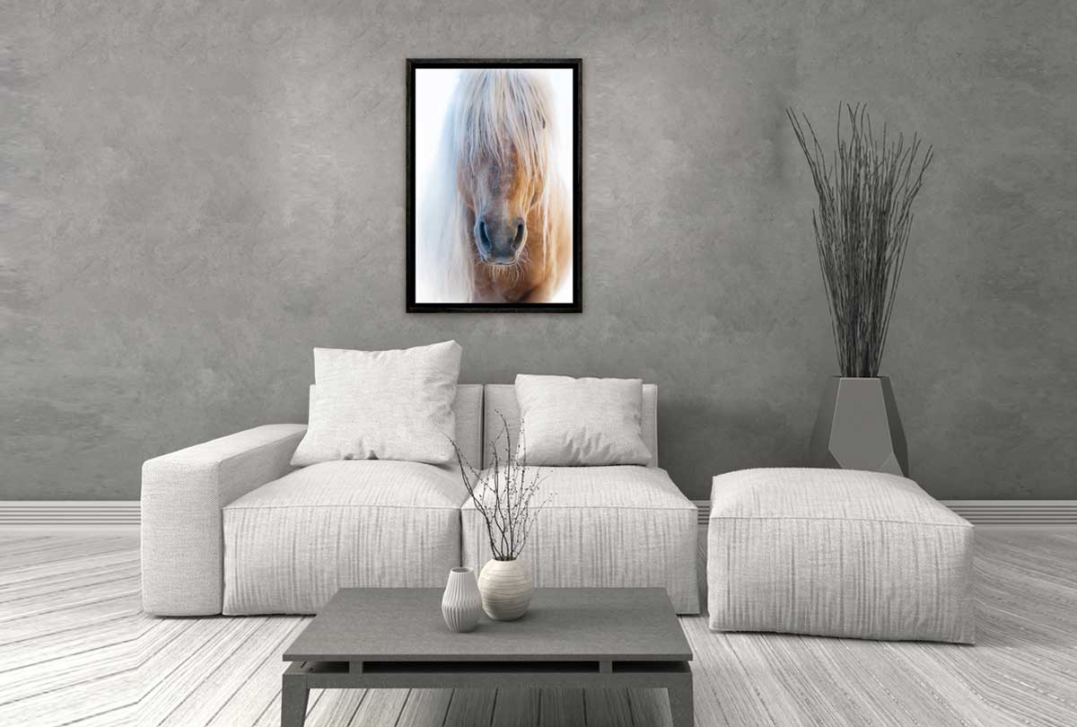 Palomino | Canvas Art Print - Final Touch Decor