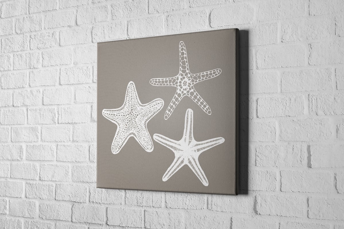 2105 Canvas Square