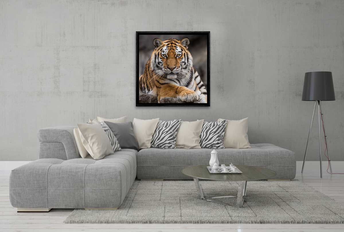 Tiger 4 | Canvas Art Print - Final Touch Decor