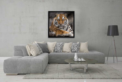 Tiger 4 | Canvas Art Print - Final Touch Decor