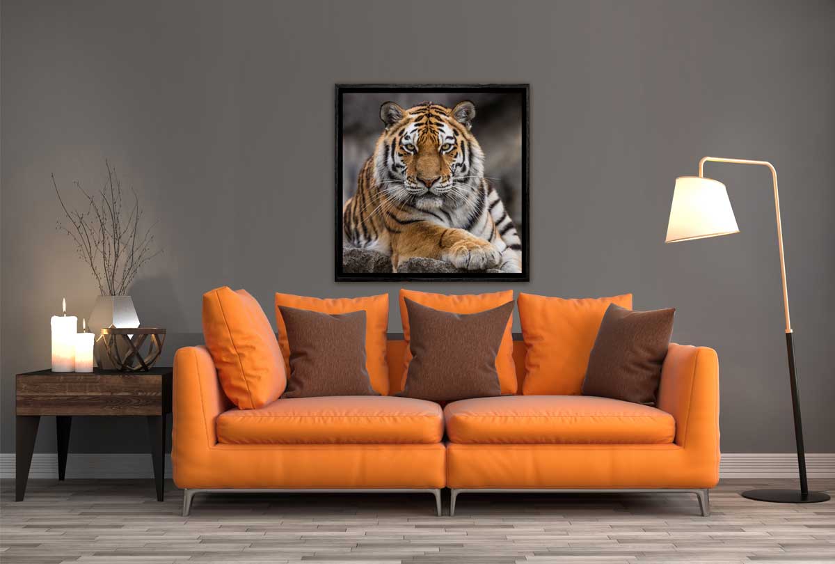 Tiger 4 | Canvas Art Print - Final Touch Decor
