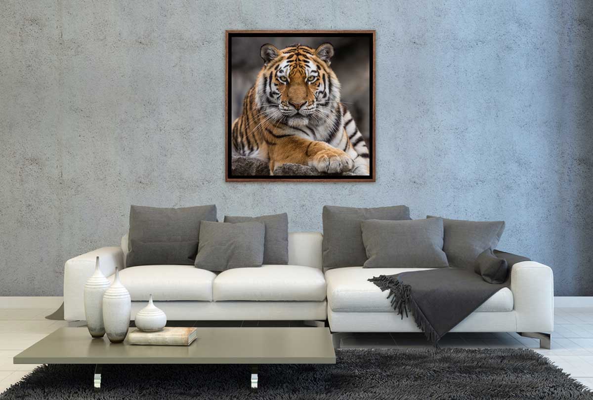 Tiger 4 | Canvas Art Print - Final Touch Decor