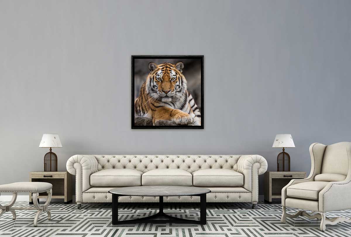 Tiger 4 | Canvas Art Print - Final Touch Decor