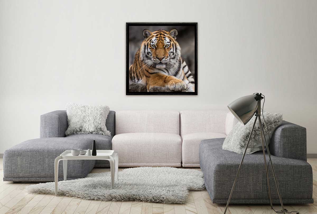 Tiger 4 | Canvas Art Print - Final Touch Decor