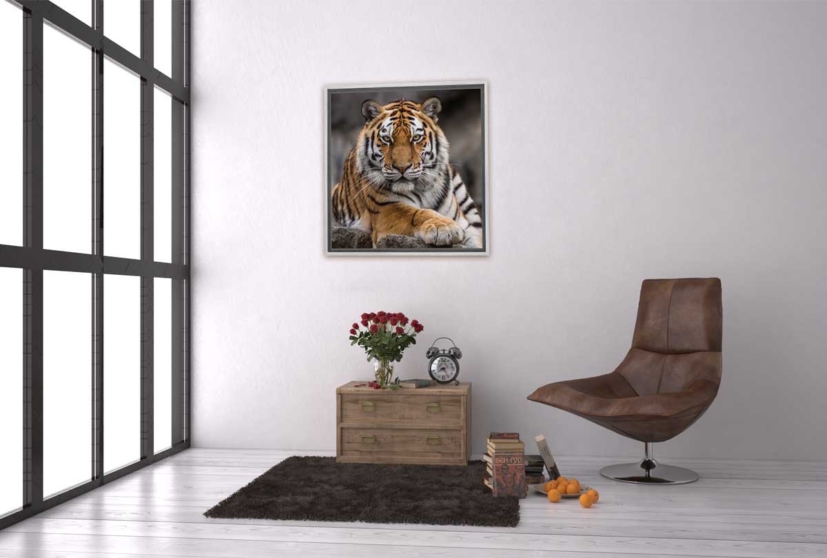 Tiger 4 | Canvas Art Print - Final Touch Decor