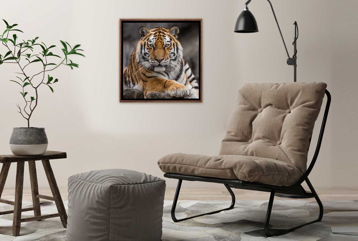 Tiger 4 | Canvas Art Print - Final Touch Decor