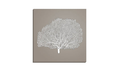 Fan Coral White on Navy | Canvas Wall Art Print