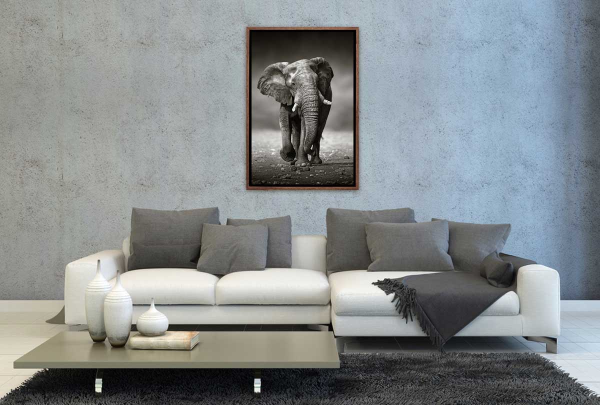 221 Living room 11