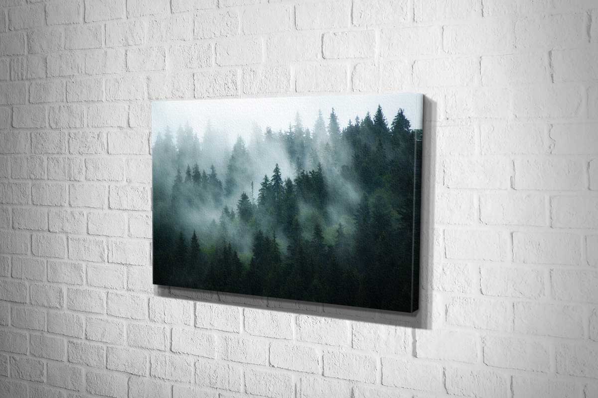 2210 Canvas landscape