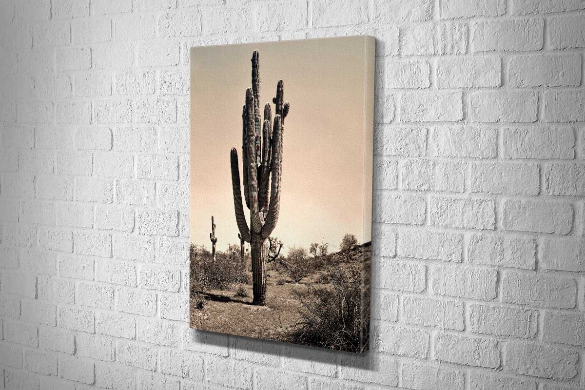 2233 Canvas portrait