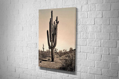 2233 Canvas portrait