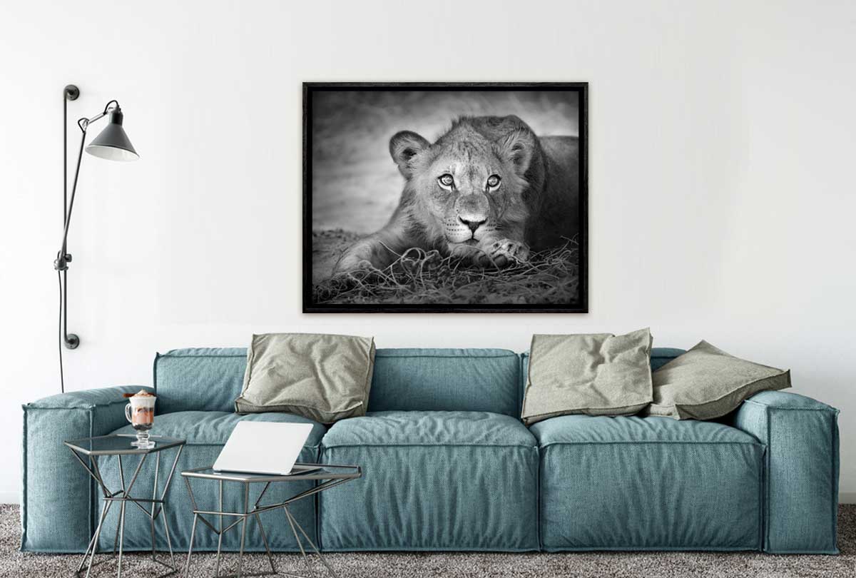228 Living room 13