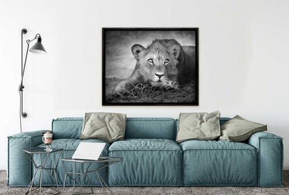 228 Living room 13