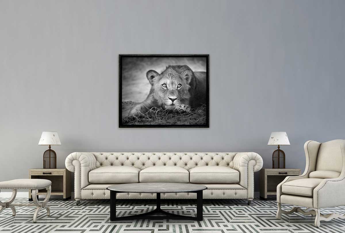 228 Living room 24