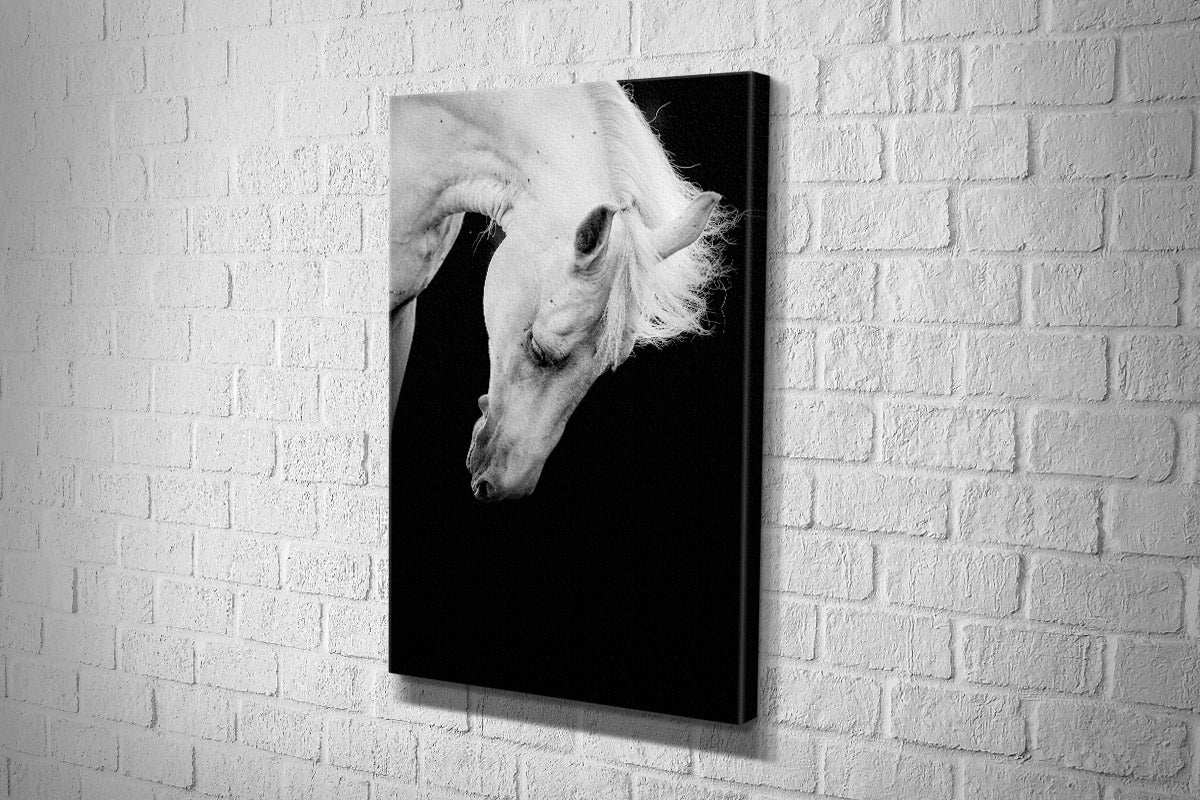 2300 Canvas portrait