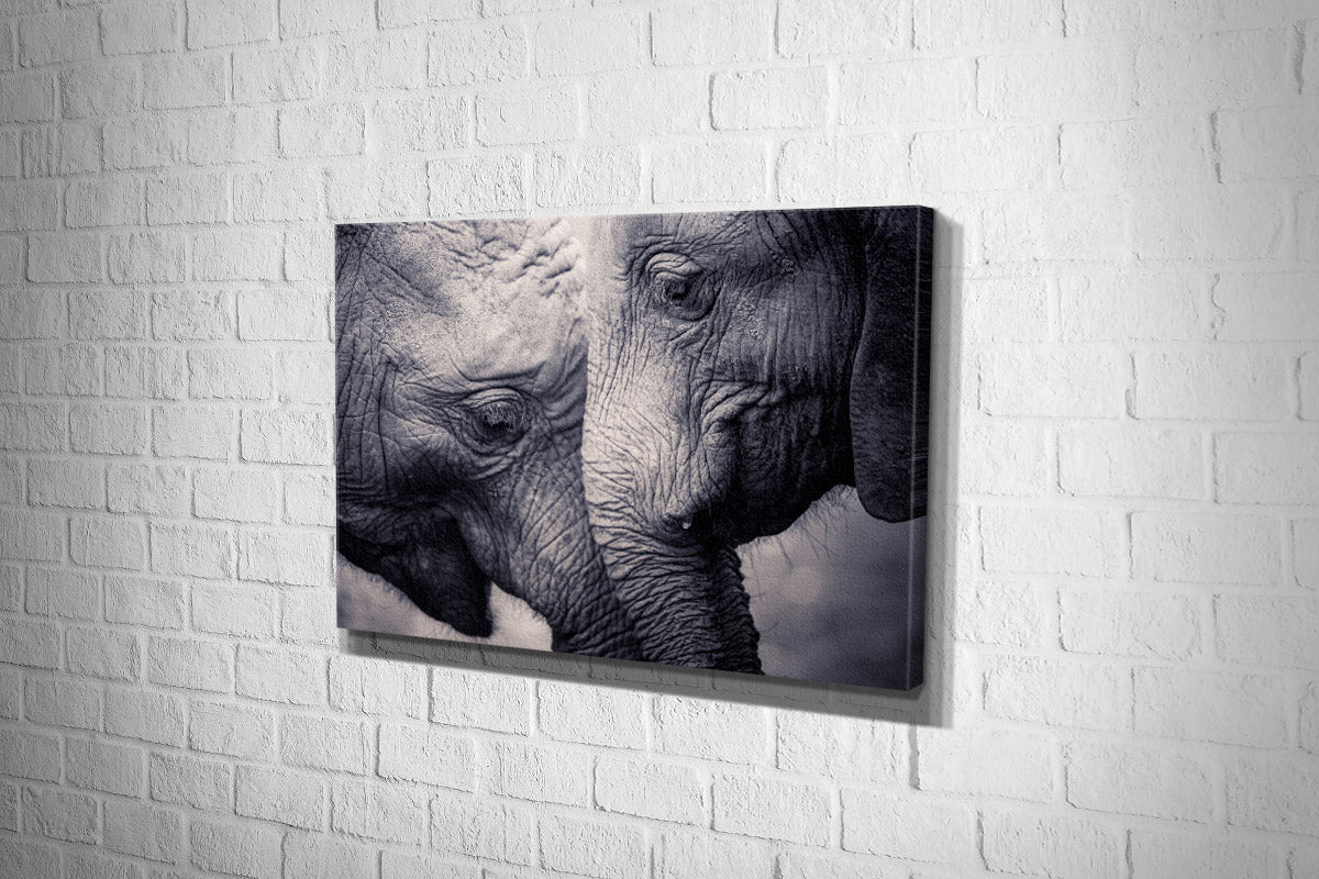 Elephant Love | Canvas Wall Art Print - Final Touch Decor