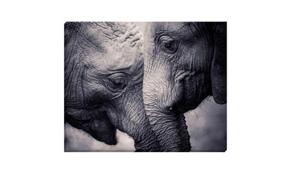 Elephant Love | Canvas Wall Art Print - Final Touch Decor