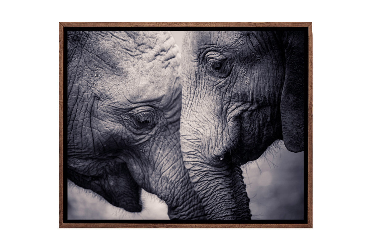 Elephant Love | Canvas Wall Art Print - Final Touch Decor