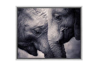 Elephant Love | Canvas Wall Art Print - Final Touch Decor