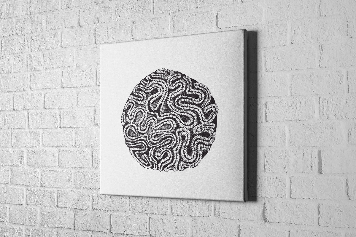 2319 Canvas Square