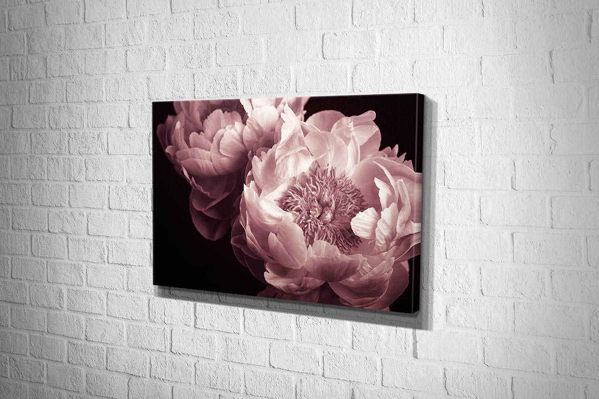 2601 hd canvas landscape