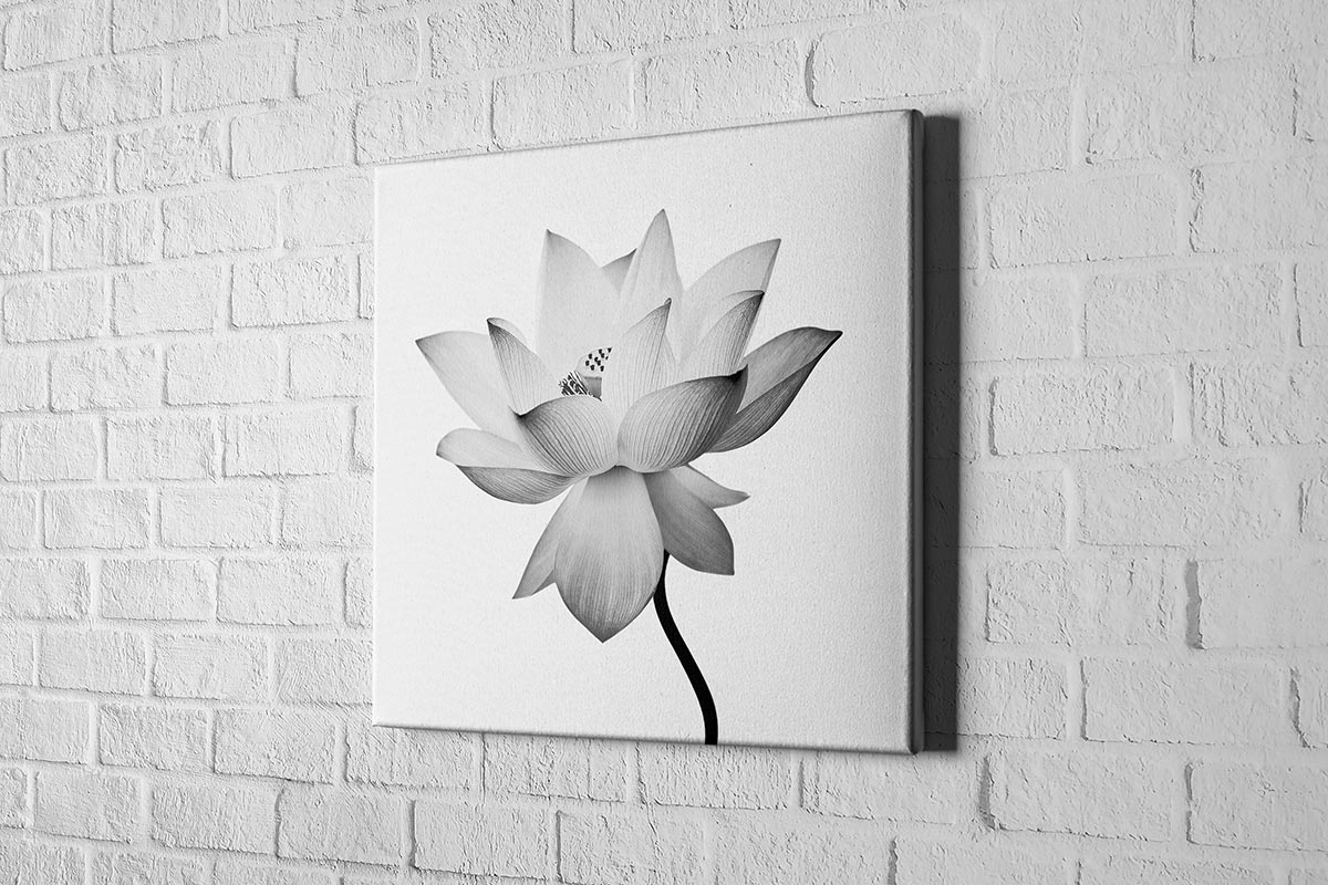 2611 hd canvas square 3