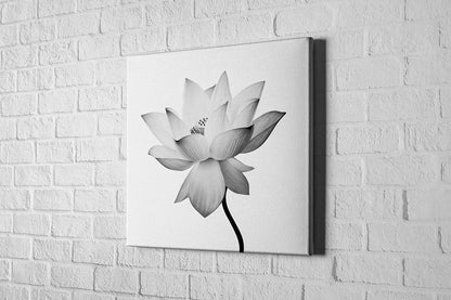 2611 hd canvas square 3