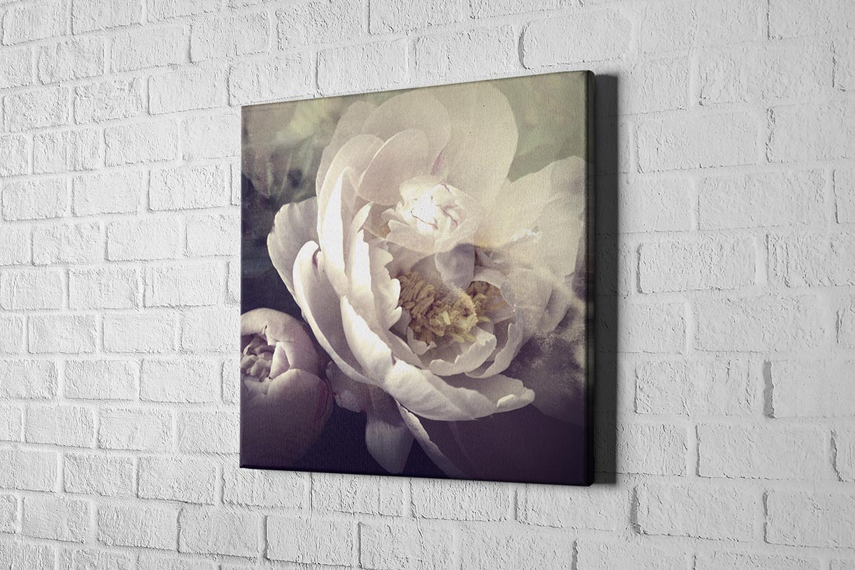 2612 hd canvas square
