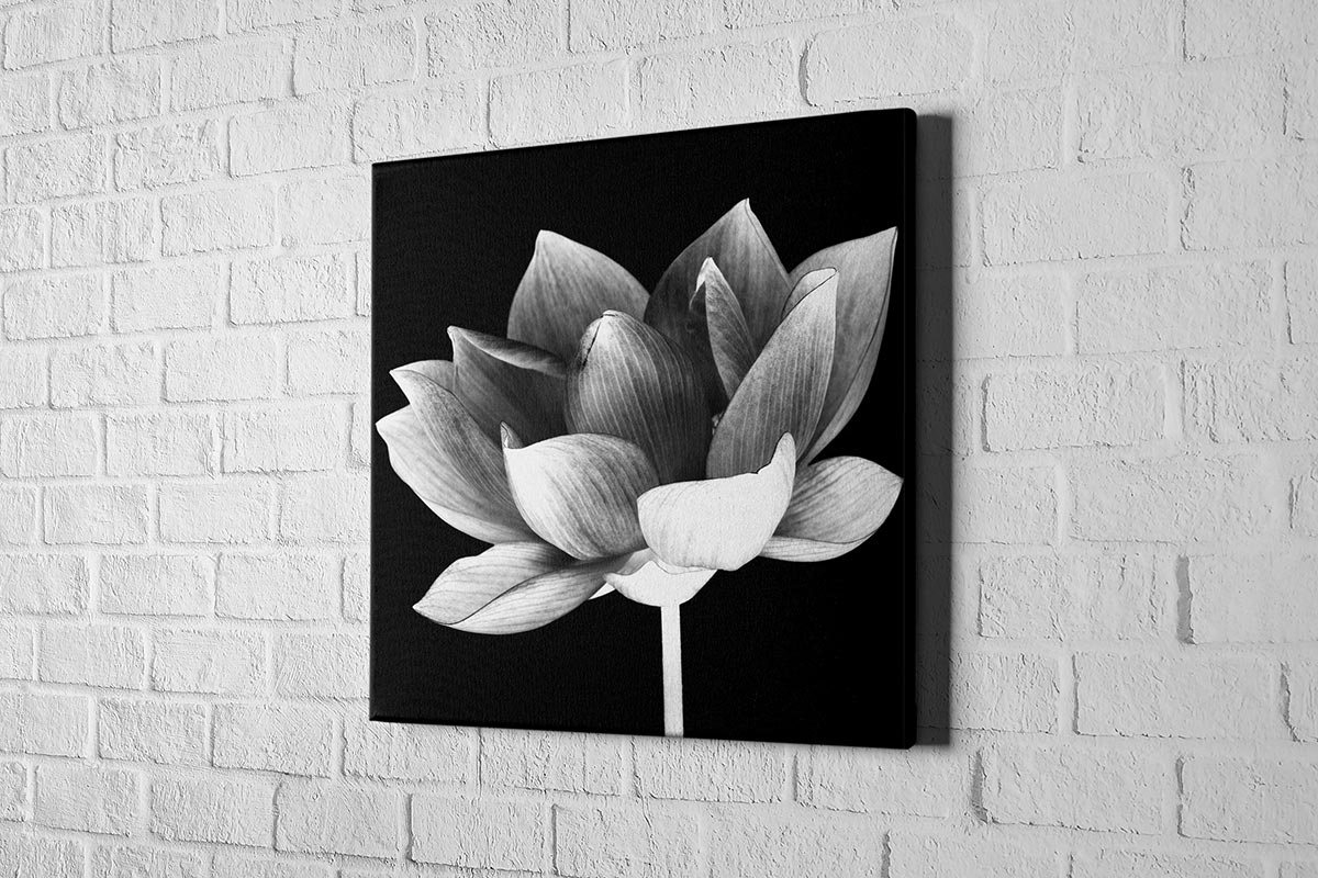 2613 hd canvas square