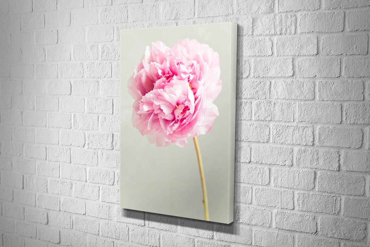 2614 hd canvas portrait