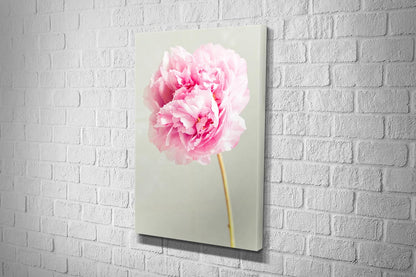 2614 hd canvas portrait