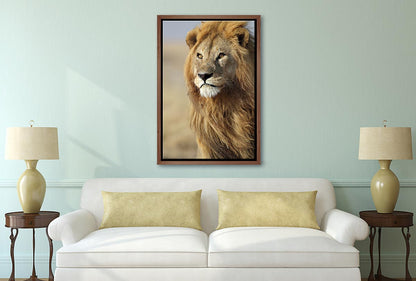 Proud Lion | Canvas Wall Art Print - Final Touch Decor