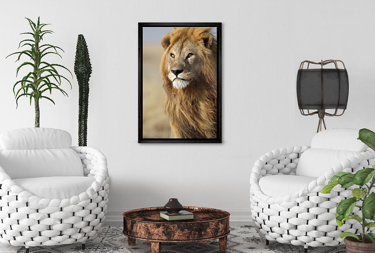 Proud Lion | Canvas Wall Art Print - Final Touch Decor