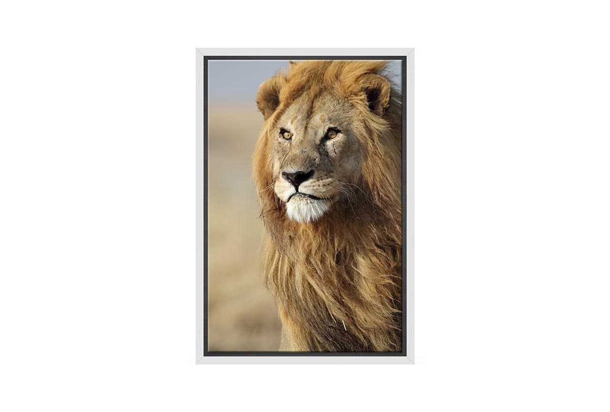 Proud Lion | Canvas Wall Art Print - Final Touch Decor