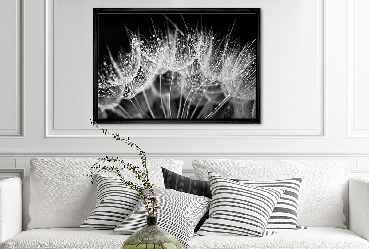 Close-Up Dandelion on Black | Canvas Wall Art Print - Final Touch Decor