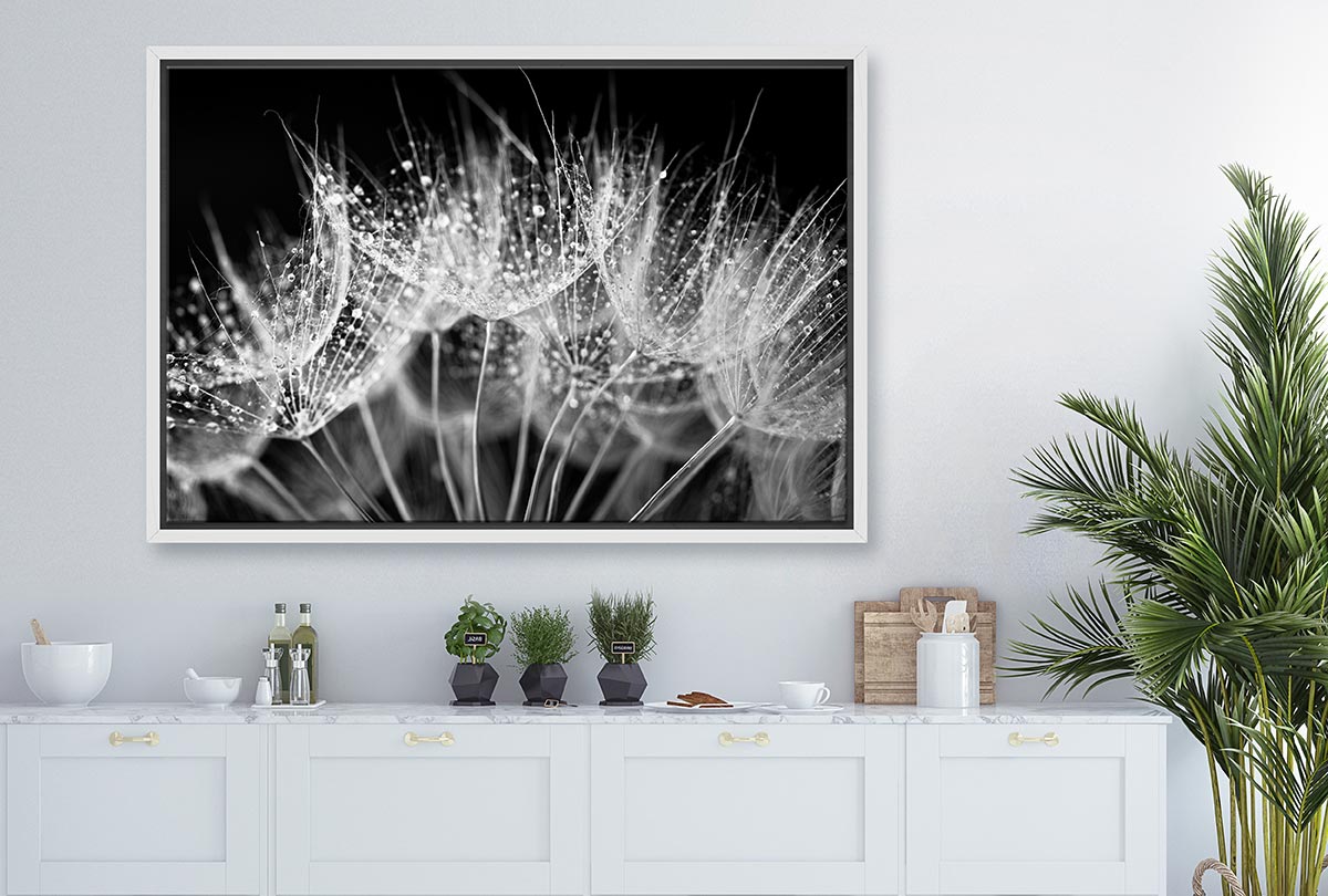 Close-Up Dandelion on Black | Canvas Wall Art Print - Final Touch Decor