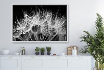 Close-Up Dandelion on Black | Canvas Wall Art Print - Final Touch Decor
