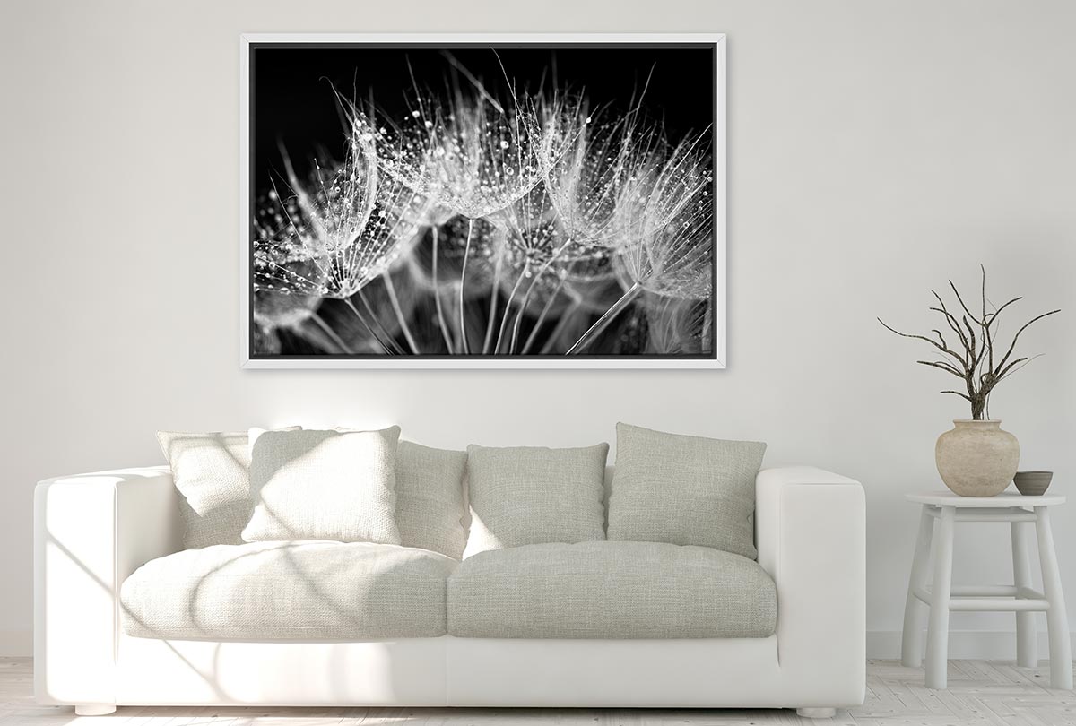 Close-Up Dandelion on Black | Canvas Wall Art Print - Final Touch Decor