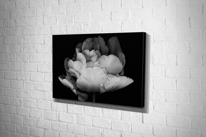 2706 hd canvas landscape