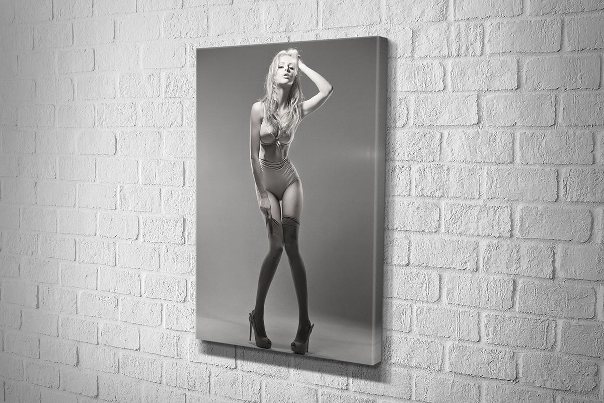 2810 hd canvas portrait