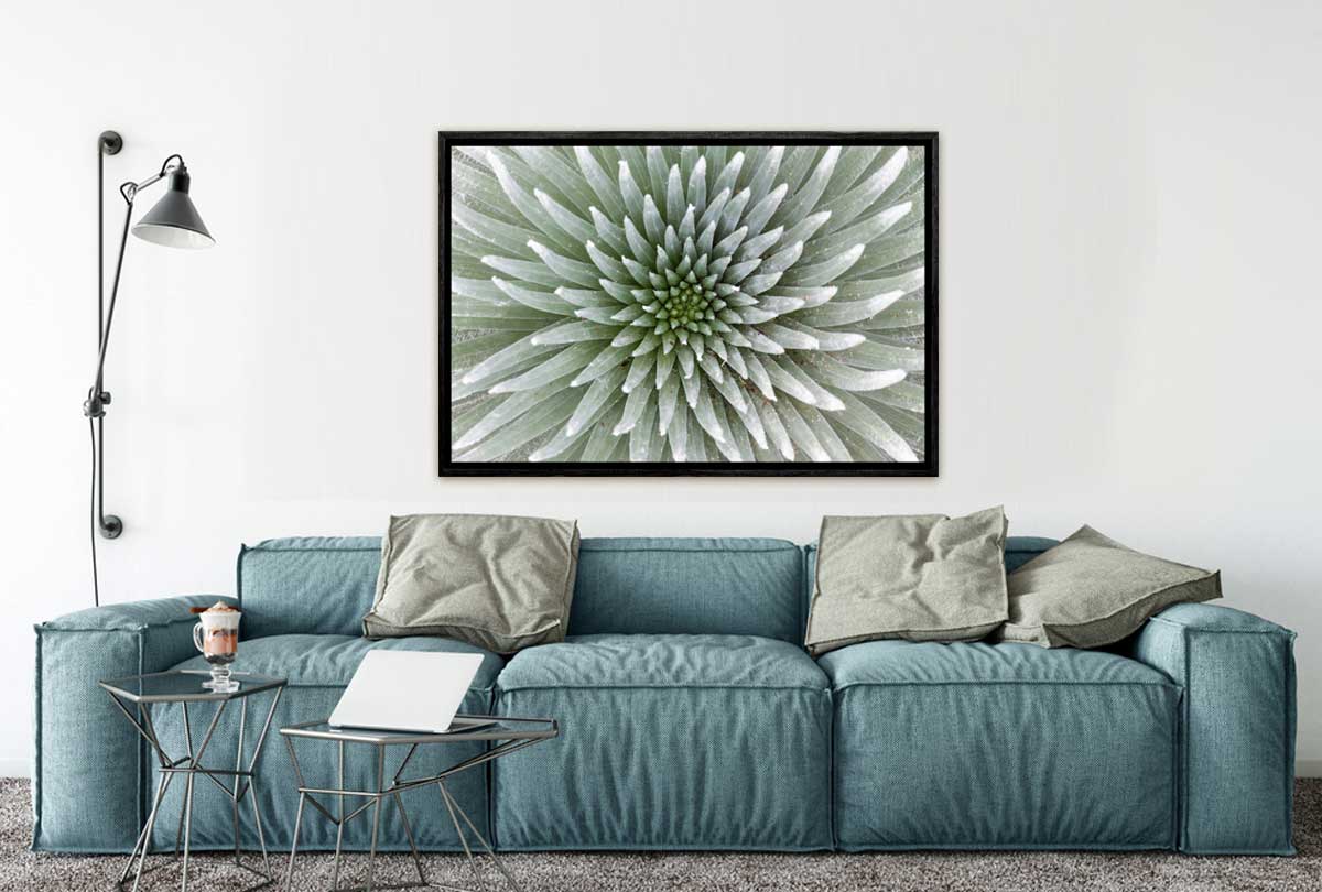 310 Living room 13