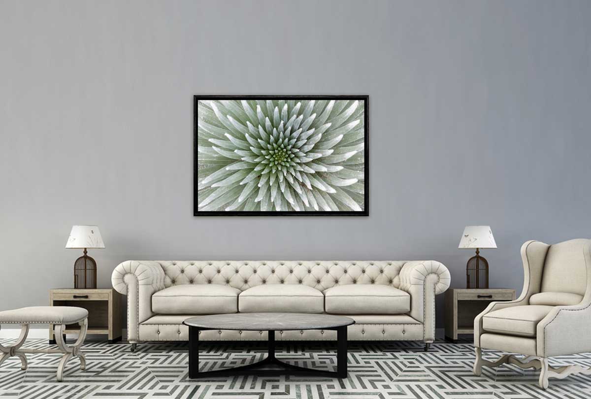 310 Living room 24