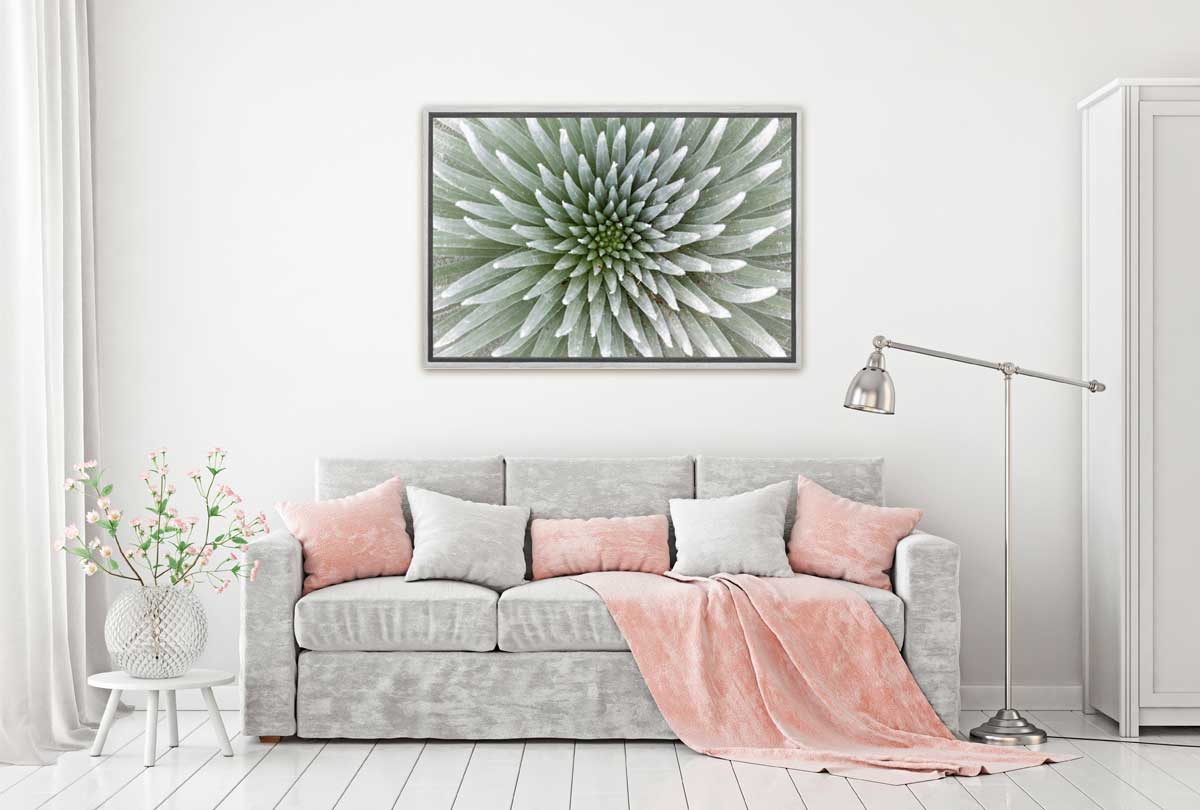 310 New pink lounge