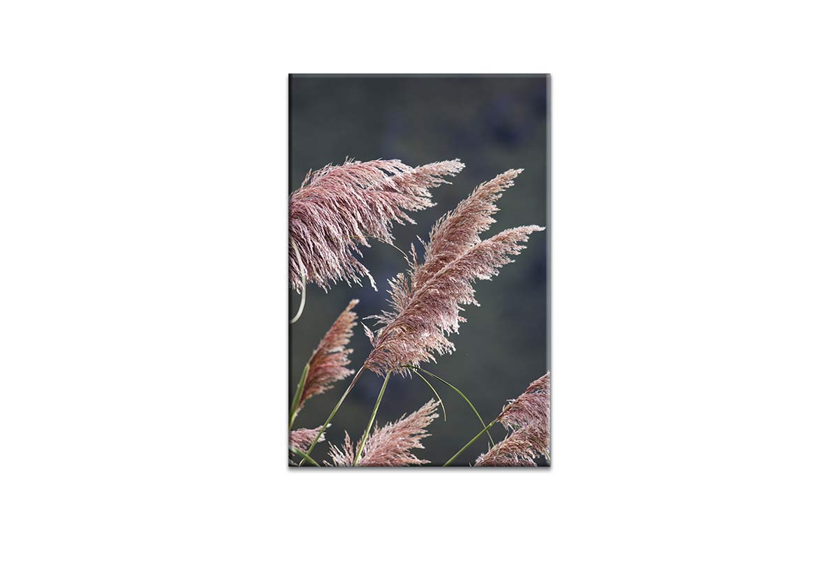 Pink Pampas | Canvas Wall Art Print - Final Touch Decor