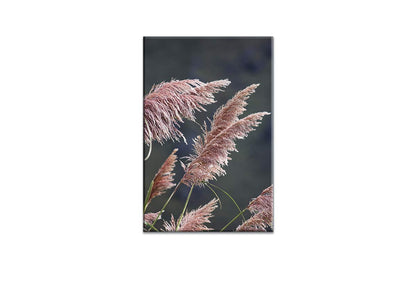 Pink Pampas | Canvas Wall Art Print - Final Touch Decor