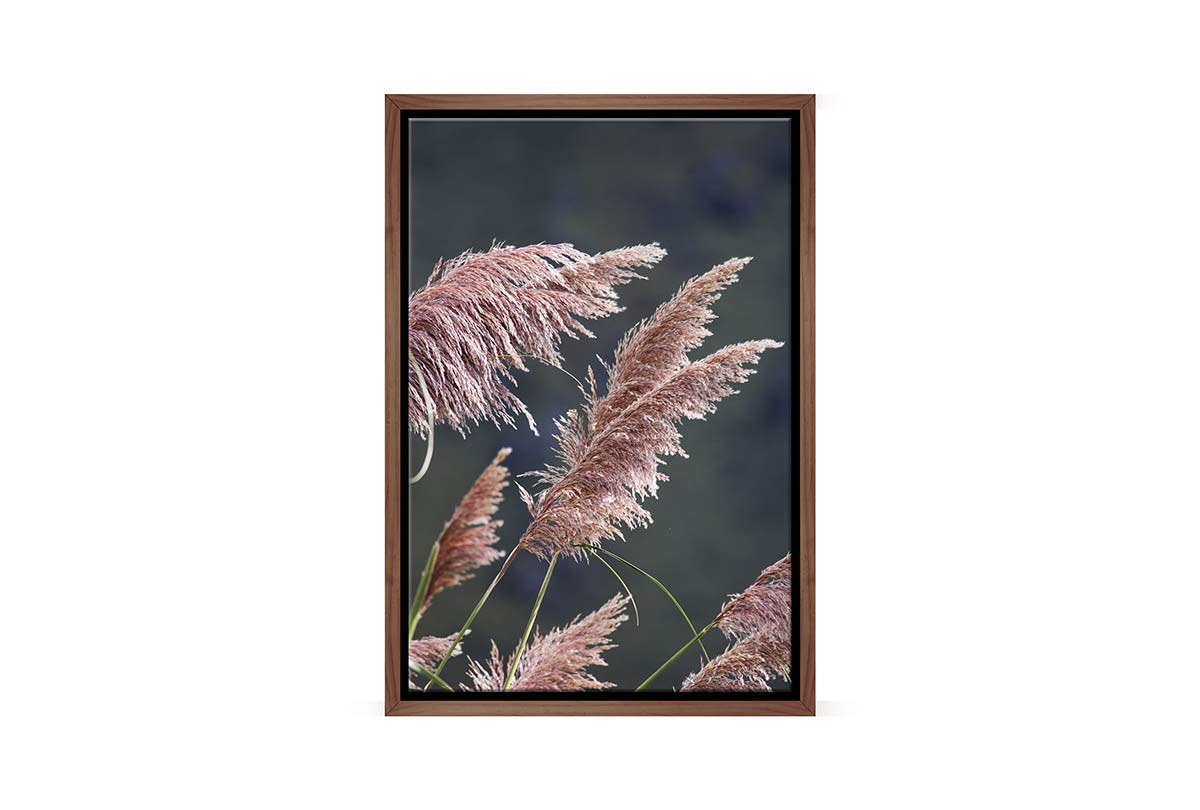 Pink Pampas | Canvas Wall Art Print - Final Touch Decor