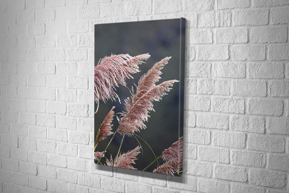 Pink Pampas | Canvas Wall Art Print - Final Touch Decor