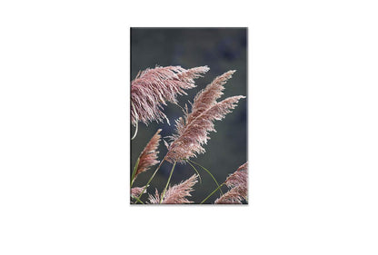 Pink Pampas | Canvas Wall Art Print - Final Touch Decor