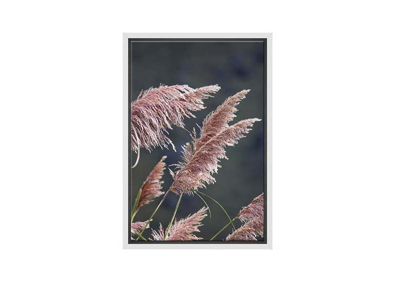 Pink Pampas | Canvas Wall Art Print - Final Touch Decor