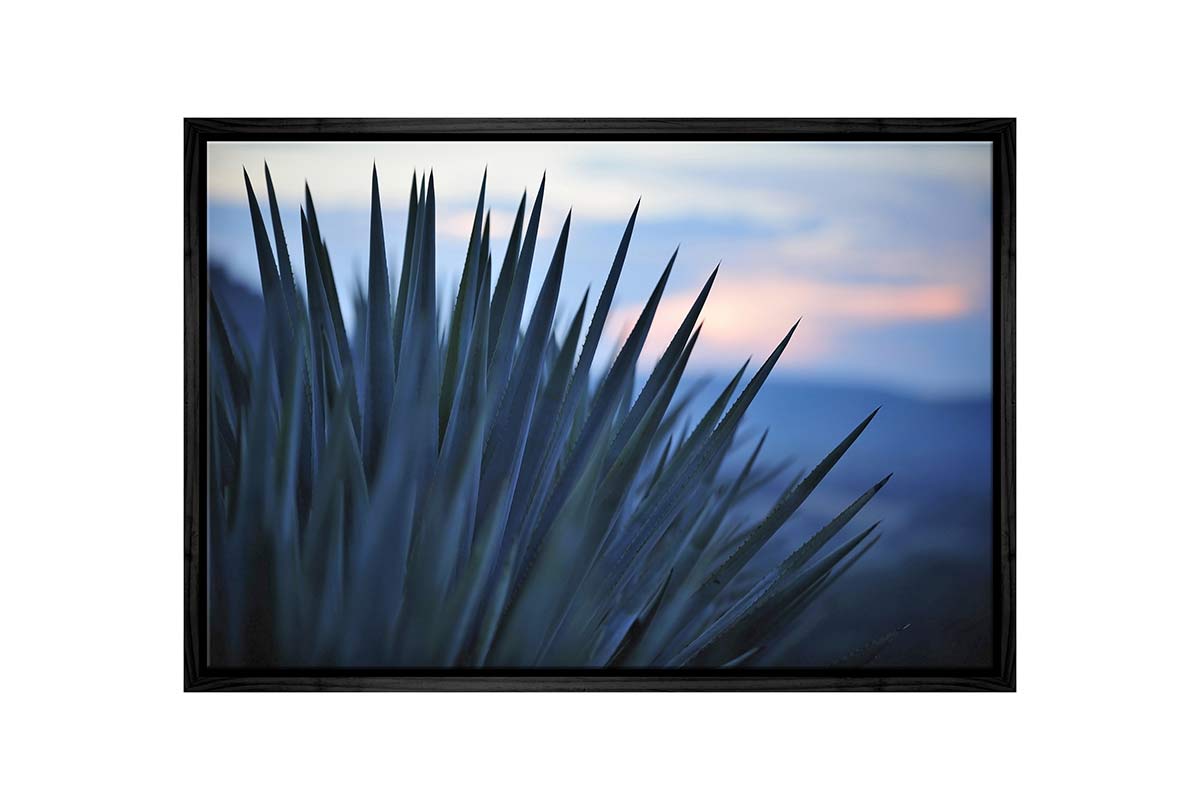 Sunset Over Agave | Canvas Wall Art Print - Final Touch Decor